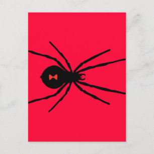 Svartvit spider vykort