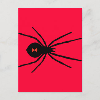 Svartvit spider vykort