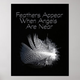 Svartvit stripe Feather Flytande på en damm Poster