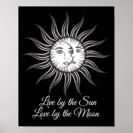 svartvit, svart, vit måne-svart bild från sol poster