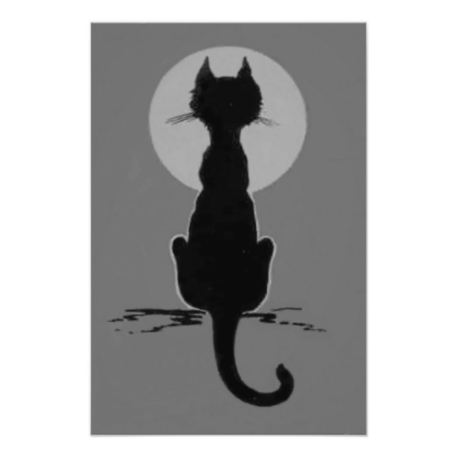 Svartvit svartvit svartvit katt, full moon fototryck (Framsidan)