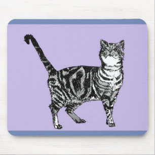 Svartvit Tabby katt Musmatta Lila