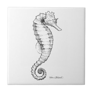 Svartvit teckning för Seahorse Kakelplatta