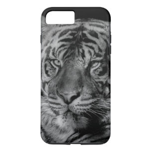 Svartvit tiger