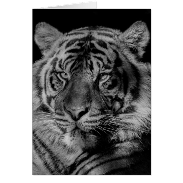 Svartvit tiger hälsningskort (Framsidan)