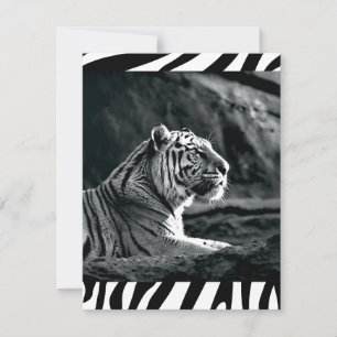 Svartvit tiger julkort