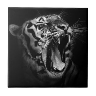 Svartvit tiger kakelplatta