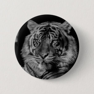 Svartvit tiger knapp