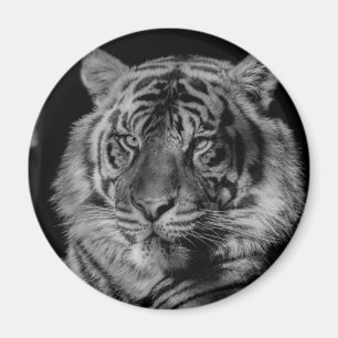 Svartvit tiger magnet