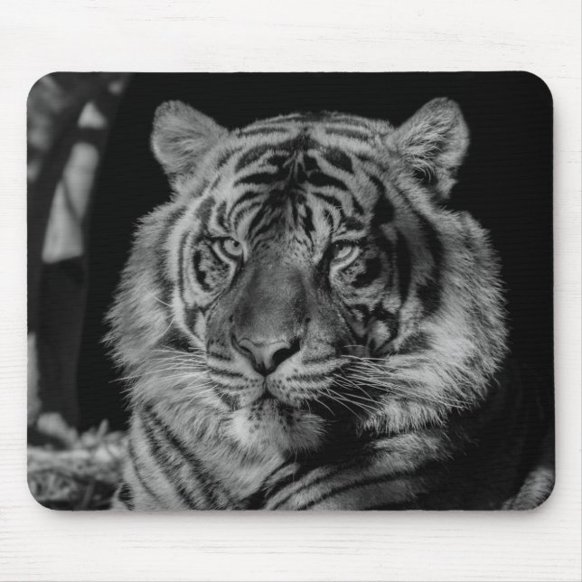 Svartvit tiger musmatta (Framsidan)