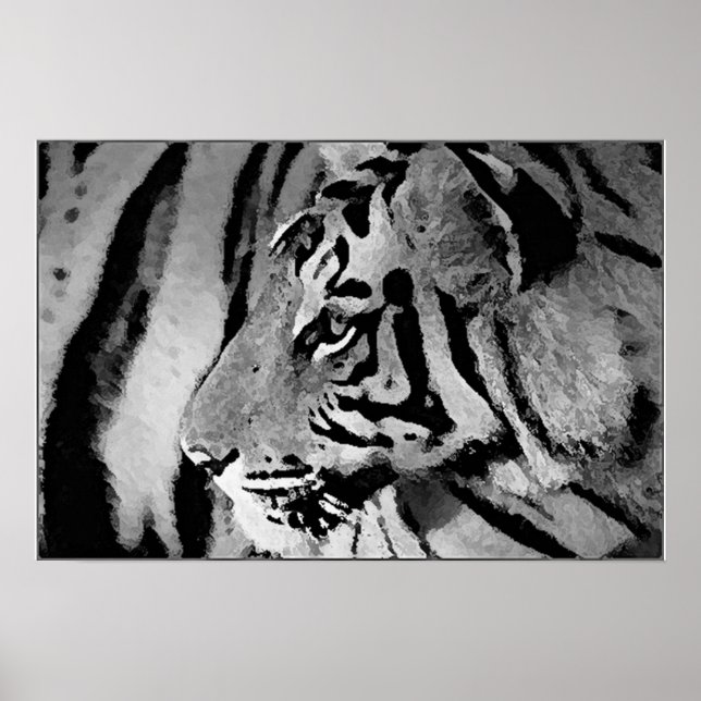 Svartvit tiger Poster utskrift (Framsidan)