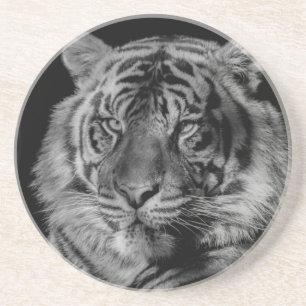 Svartvit tiger underlägg sandsten