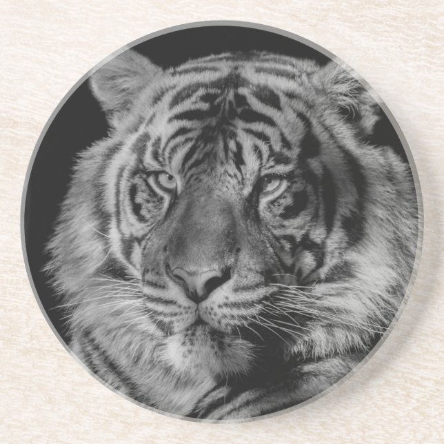 Svartvit tiger underlägg sandsten (Framsidan)