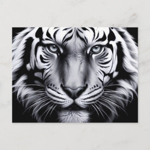 svartvit tiger (uppdatera) vykort