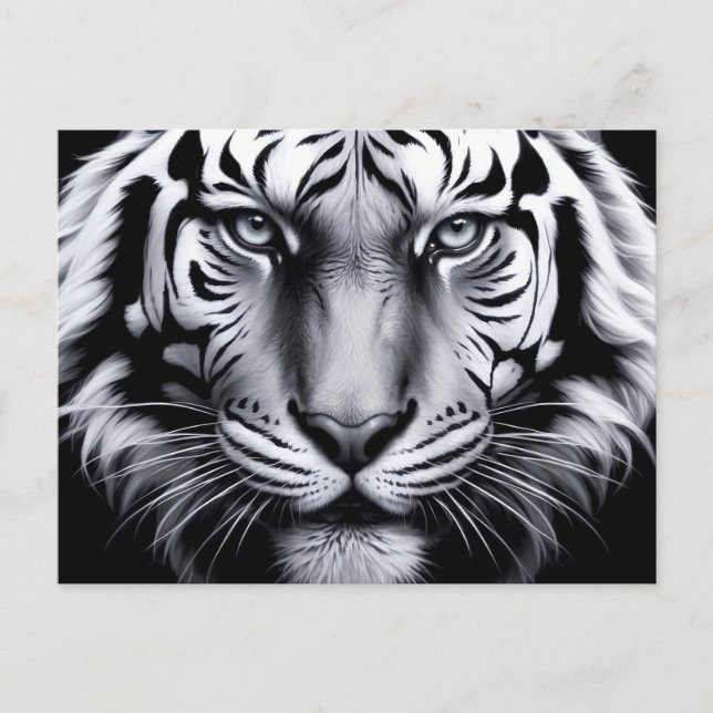 svartvit tiger (uppdatera) vykort (Framsida)