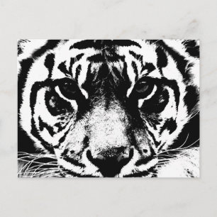 Svartvit tiger vykort