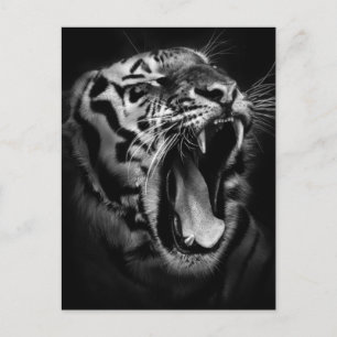 Svartvit tigerinspiration vykort