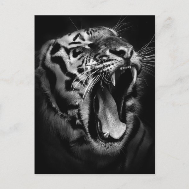 Svartvit tigerinspiration vykort (Framsida)
