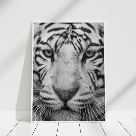 Svartvit tigerutskrift Poster