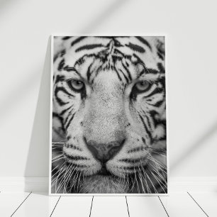 Svartvit tigerutskrift Poster