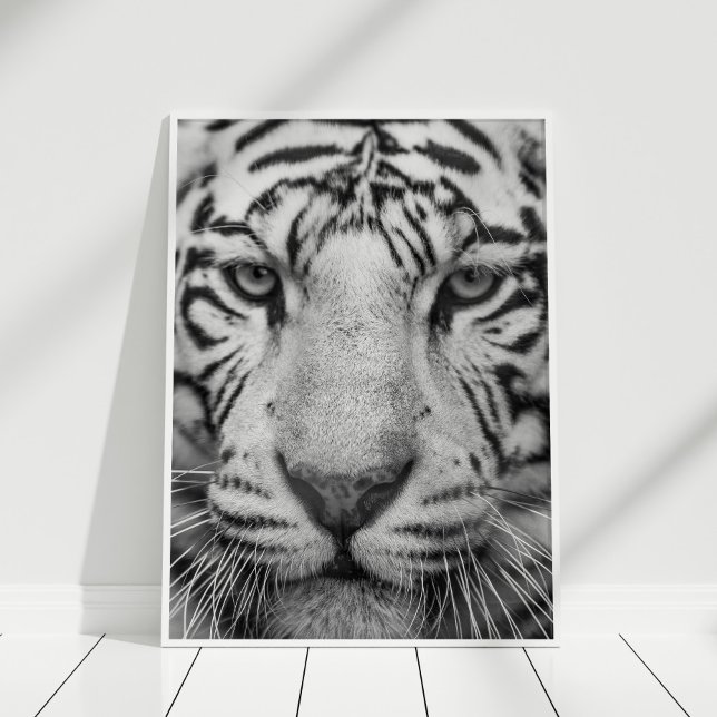 Svartvit tigerutskrift Poster (Black and White Tiger Print Poster in white frame on white wooden floor.)