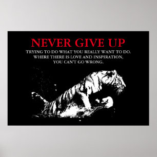 Svartvit tigger aldrig Ge uppåt Motiverande Poster