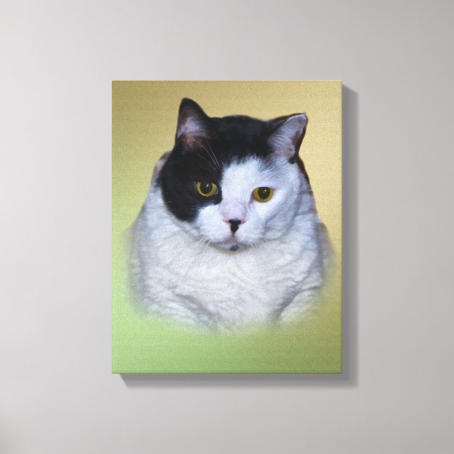 Svartvit Tjock Katt Canvastryck (Framsida)