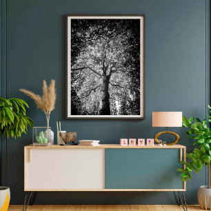 Svartvit Träd FINE ART-FOTOGRAFI Poster