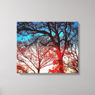 Svartvit Träd i vinterfoto Canvastryck