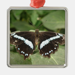Svartvit Tropical Butterfly Ornament