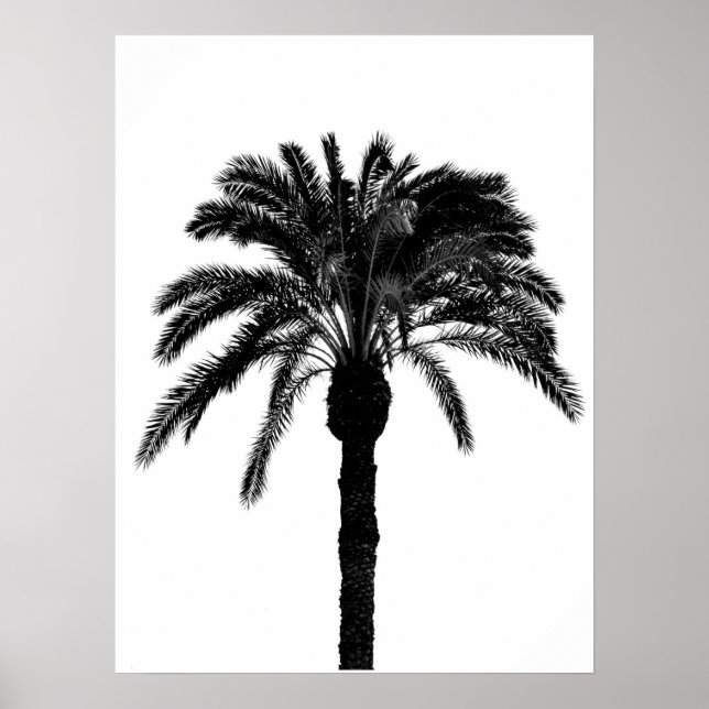 Svartvit tropiska handflatan träd poster (Framsidan)