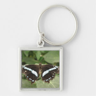 Svartvit Tropiskt Butterfly Keychain Fyrkantig Silverfärgad Nyckelring