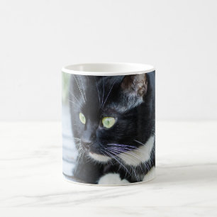 Svartvit Tuxedo-katt Kaffemugg