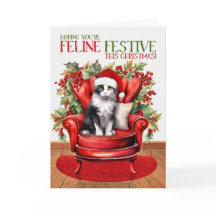 Svartvit Tuxedo-KATTDJUR för julklapp