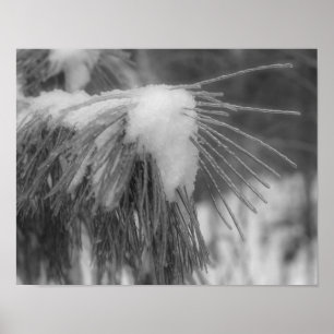 Svartvit utskrift av snö Ice Gräs Nål Poster