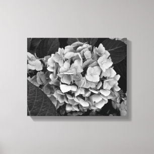 Svartvit väggkonstvanlig hortensia canvastryck