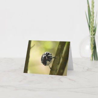 Svartvit varare #2 - Tomt anteckningskort