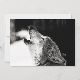 Svartvit Varg Howling vid inbjudan till Måne