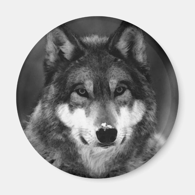 Svartvit Varg Magnet (Framsidan)