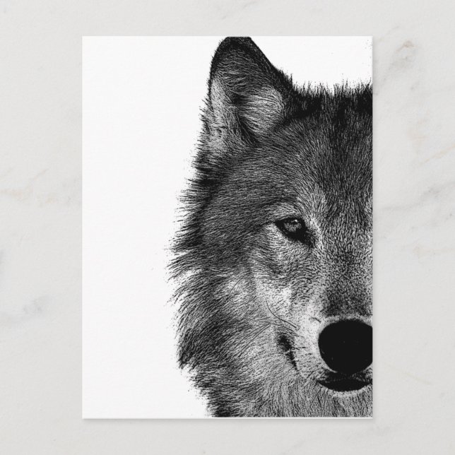 Svartvit Varg Öga Artwork Vykort (Framsida)