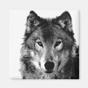 Svartvit Varg Porträtt Magnet