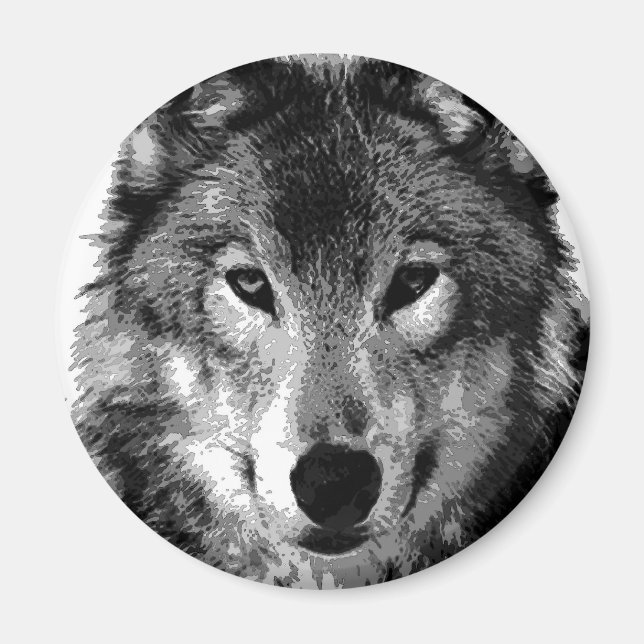 Svartvit Varg Porträtt Magnet (Framsidan)