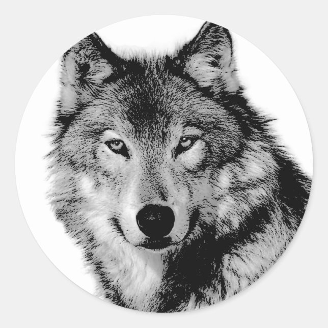 Svartvit Varg Runt Klistermärke (Framsida)