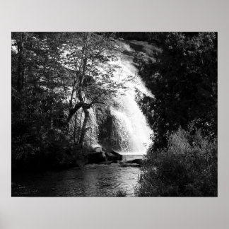 Svartvit vattenfall genom Träd 16 x 20 Poster