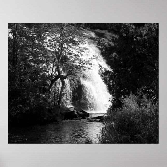 Svartvit vattenfall genom Träd 16 x 20 Poster (Framsidan)