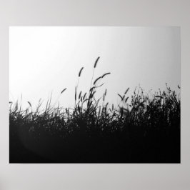 Svartvit Vild Grass i Fält vid solnedgång 16 x 20 Poster