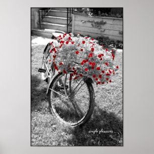 Svartvit Vintage Bicycle Red Flowers Poster
