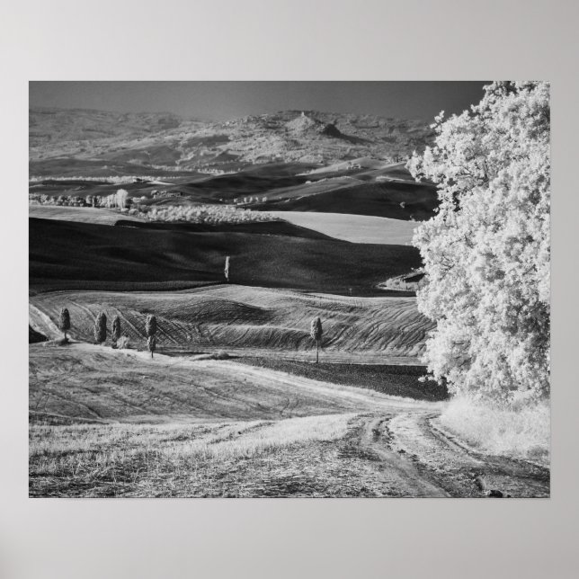 Svartvit vy över lindningsväg poster (Framsidan)