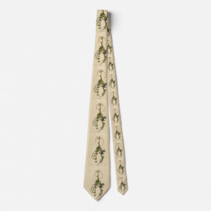 Svartvit Warbler - Audubon's Birds of America Slips