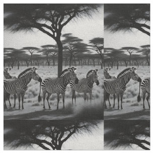 Svartvit Zebror i Afrika, struktur Tyg